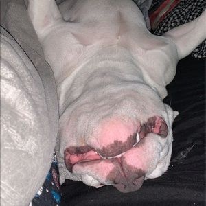 Meet your Posher, Victor